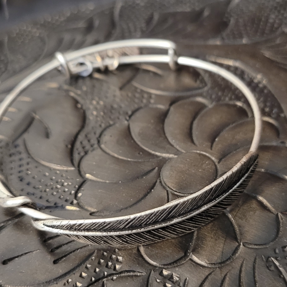 Alex&Ani Bangle